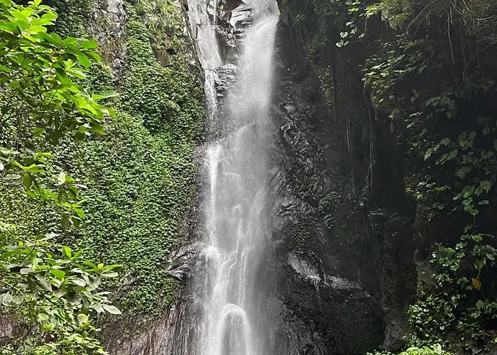 Aruna Jayanti Villa Tejakula